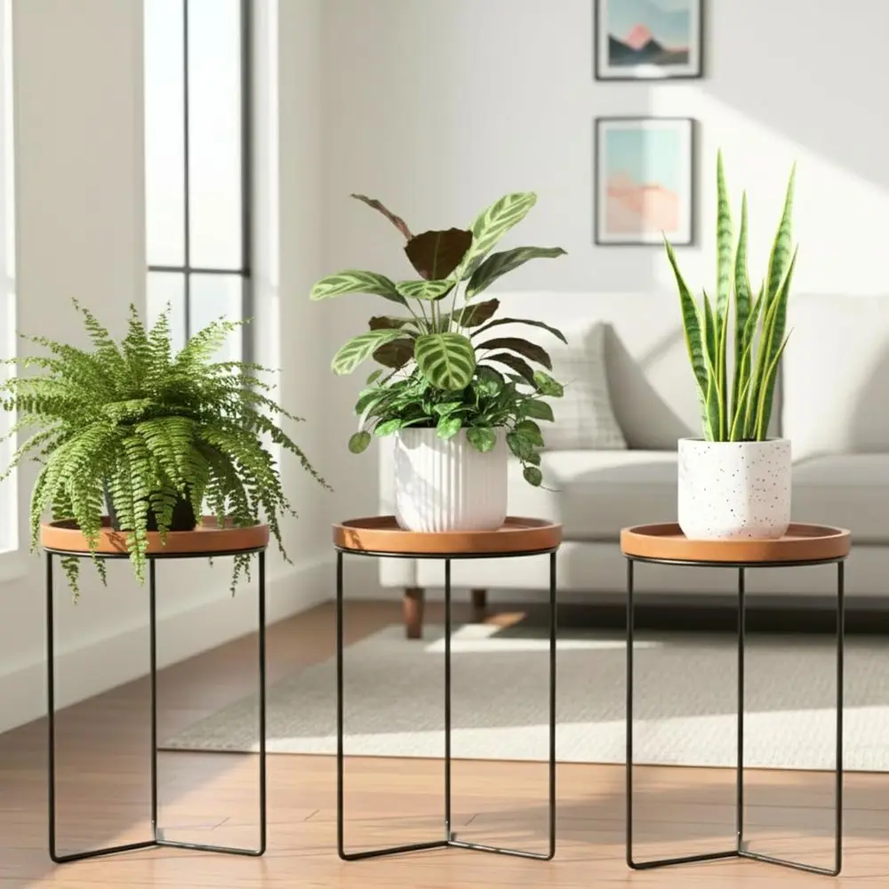 

Set of 3 Wooden-Top Metal Plant Stands, Holds 12 Pots, Supports 120 lbs