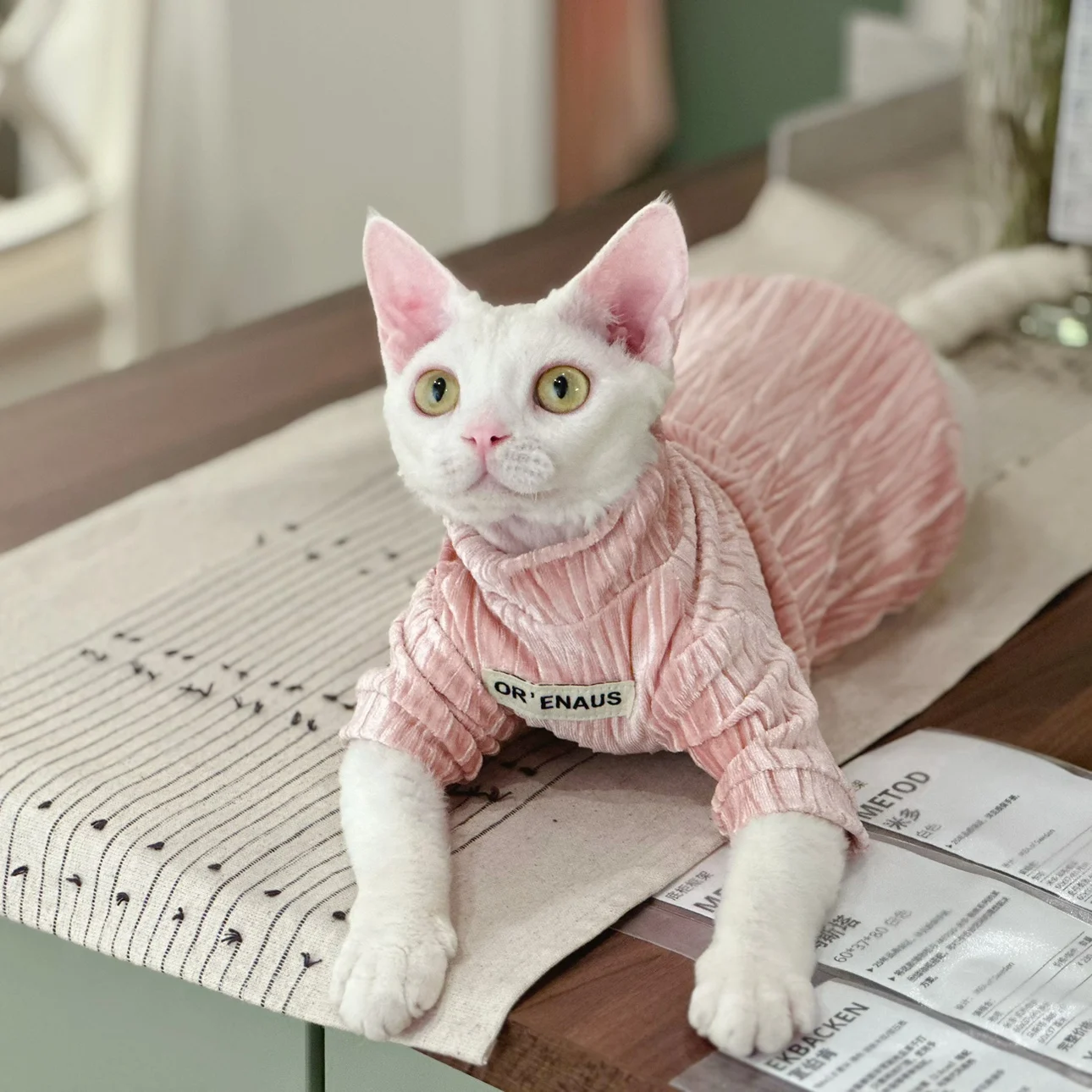 Elegant Soft Sphynx Cat Turtleneck Sweater Hairless Cat Clothes Comfort Winter Coat Thickening Fleece Jacket for Sphynix Cat