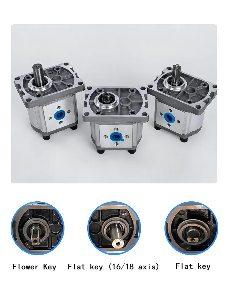 Zhengquan high pressure gear pump forward and reverse CBN-F series truck tailgate forklift special pump manufacturer high qualit