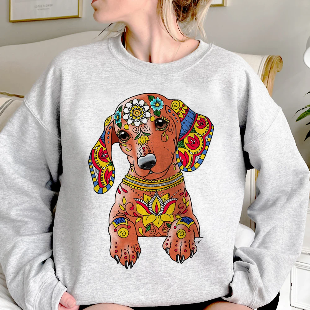 Dachshund-estilo dachshund