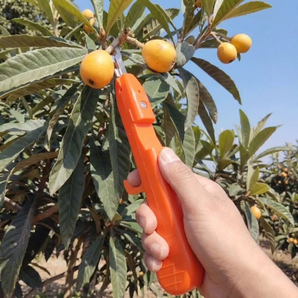 Handheld Berry Picking Tool Ergonomic Thorn-Proof Fruit Harvesting Shears Anti-Scratch Non-Slip Handle Pruning Cutter Pruning