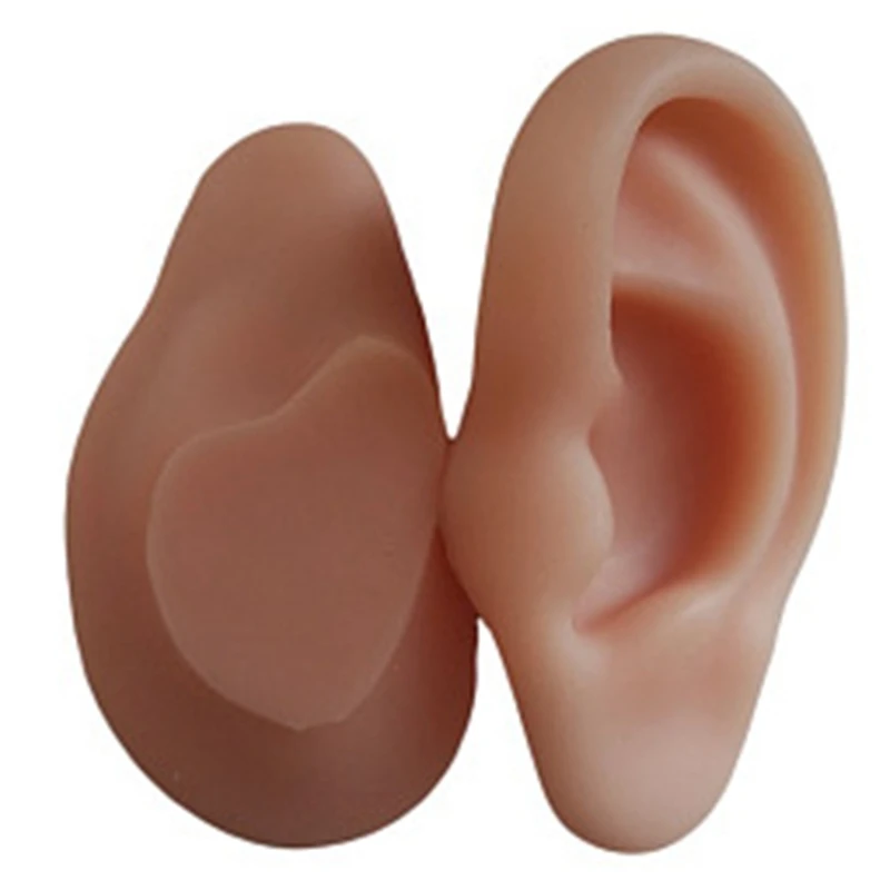 인체 해부학 실리콘 귀 침술 연습 키트, 봉합 훈련, 교육 도구용