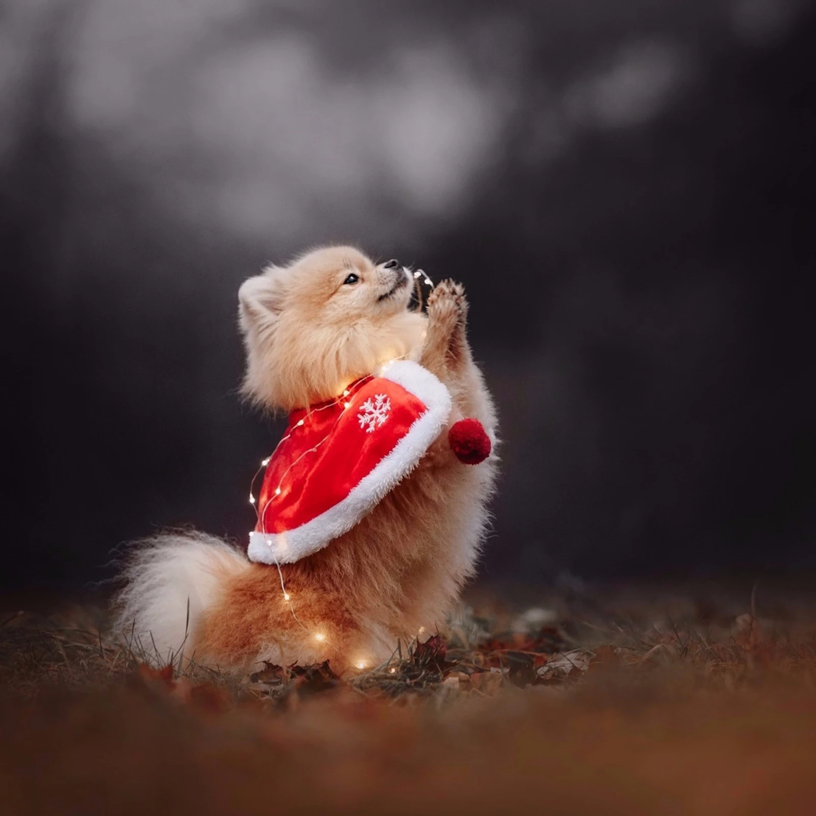 

1pc Faux Ribbon 4M Long White Shaggy Trim For Diy Christmas Hat Decor Hanfu Clothing Accessories Rabbit Fake Strip