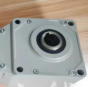 

Новая модель редуктора 2026 года RNYM1H-1420-B-30