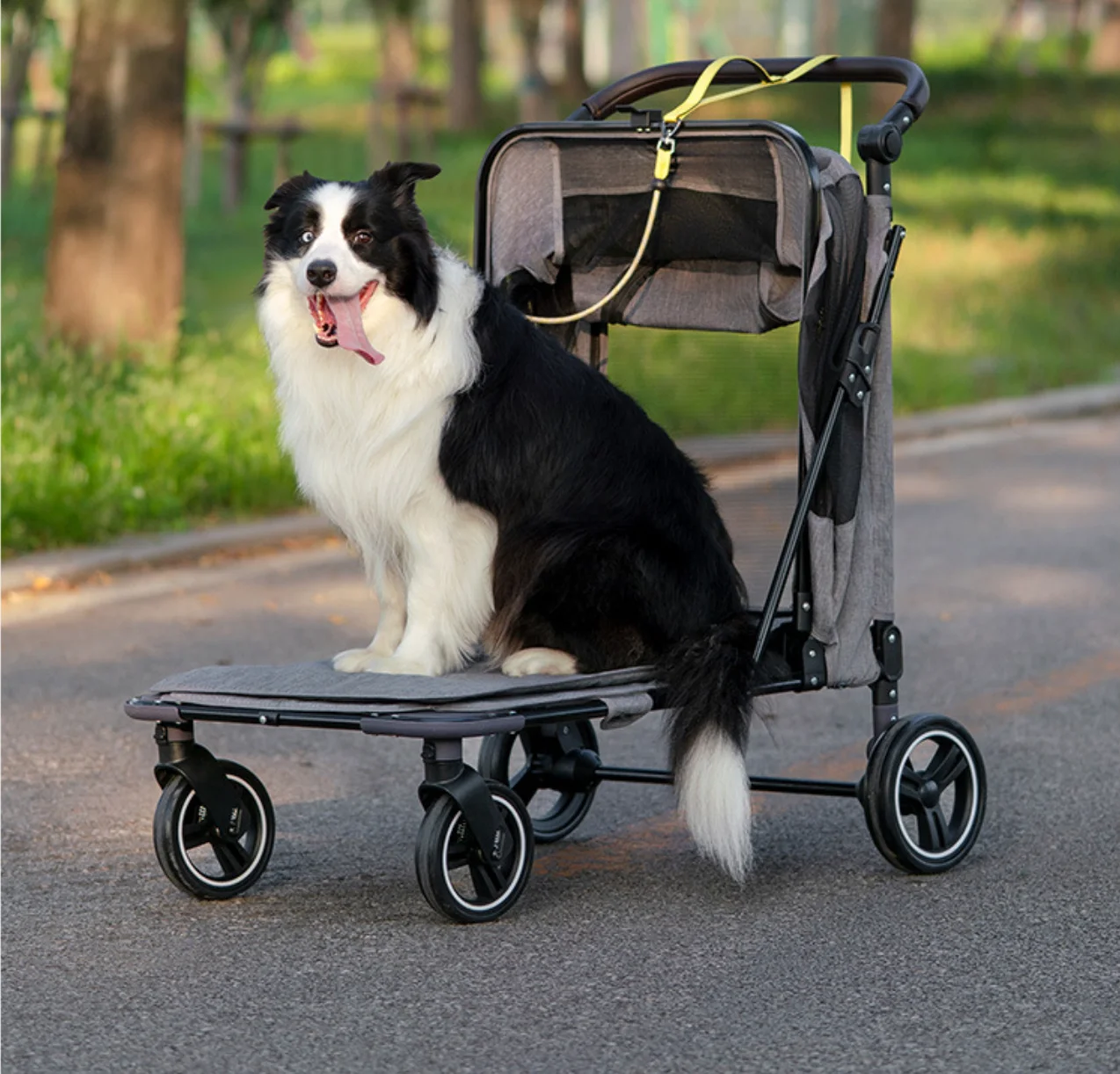 

Comfortable Lightweight Acrylic Waterproof Breathable Durable Adjustable Secure Journeys Pet Stroller For Dogs Cats Small