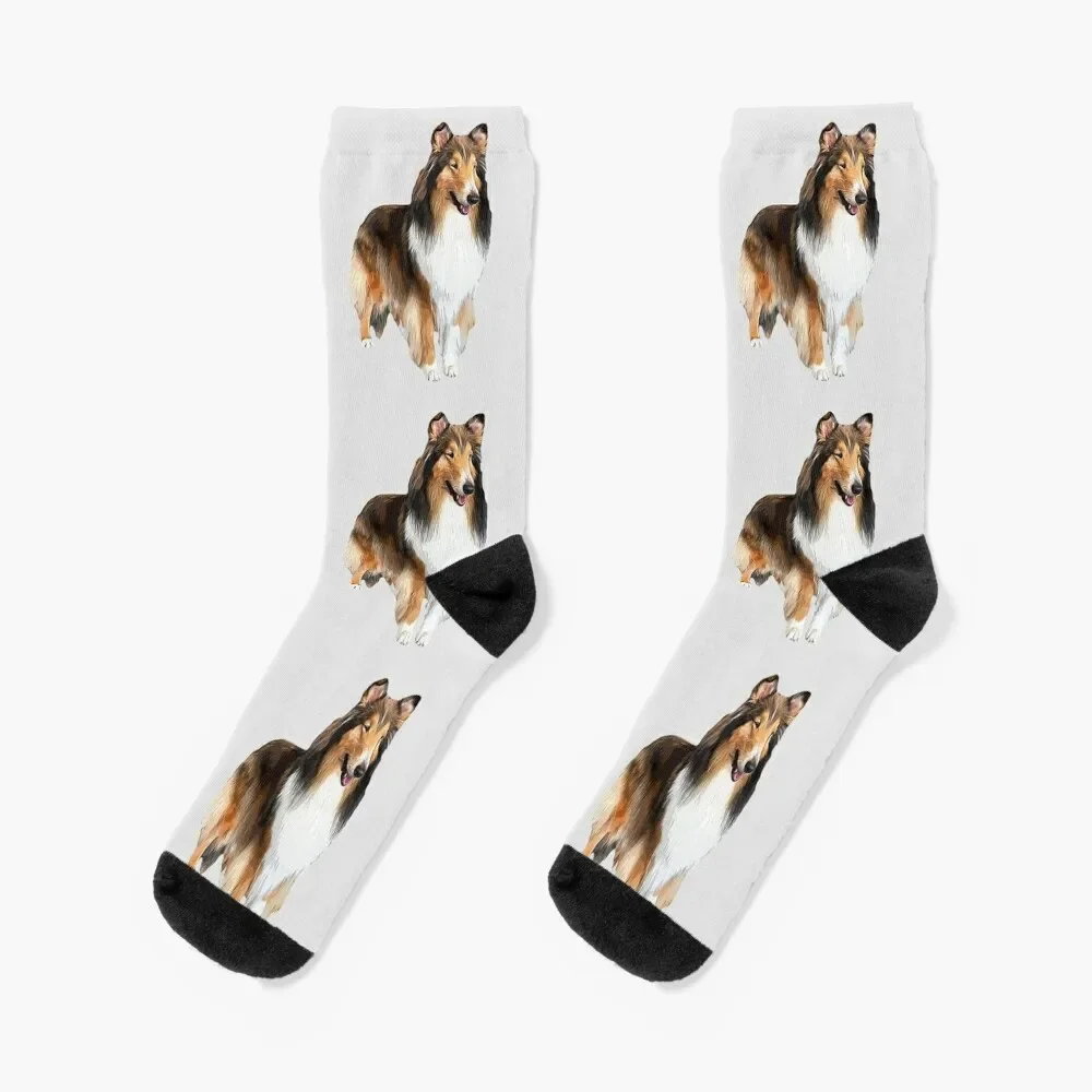 

Rough Collie Stunning Look! Socks Climbing Stockings compression anime Boy Socks Women's