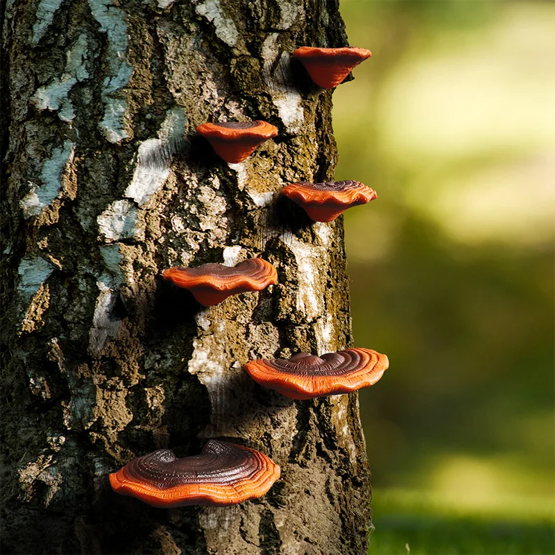 6pcs Simulation Reishi Mushroom Tree Hanging Resin Pendant Ornaments for Home Courtyard Garden Decor