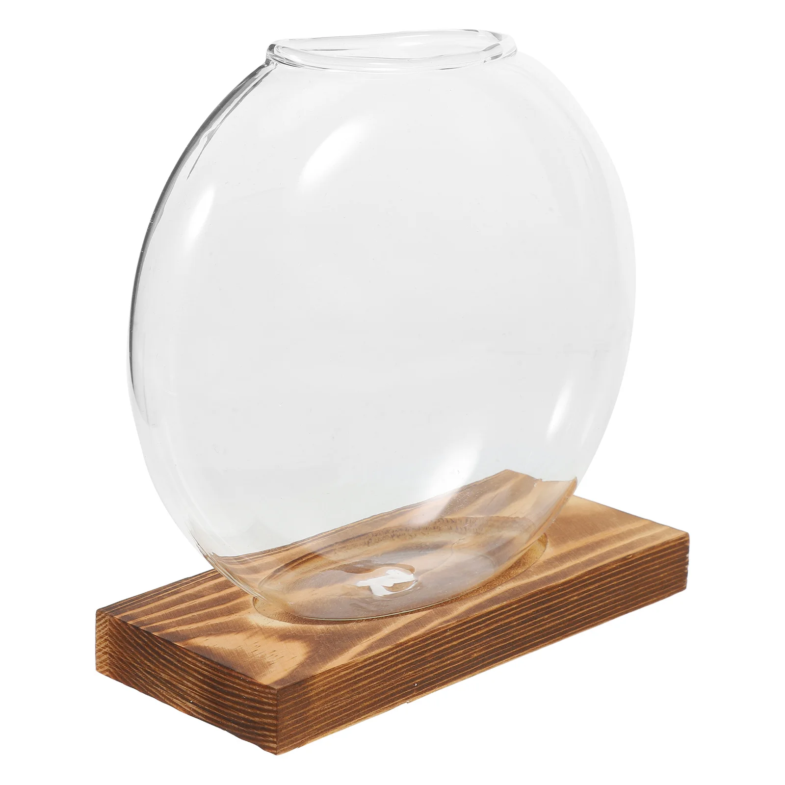 

Hydroponic Glass Vase Transparent Indoor Plant Propagation Station Wooden Base Desktop Window Display Terrarium Container