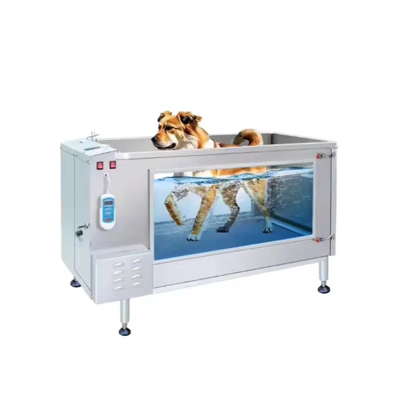 Dog Underwater Treadmill Pet Running Machine Hydrotherapy Rehabilitation Training for Animals Customized