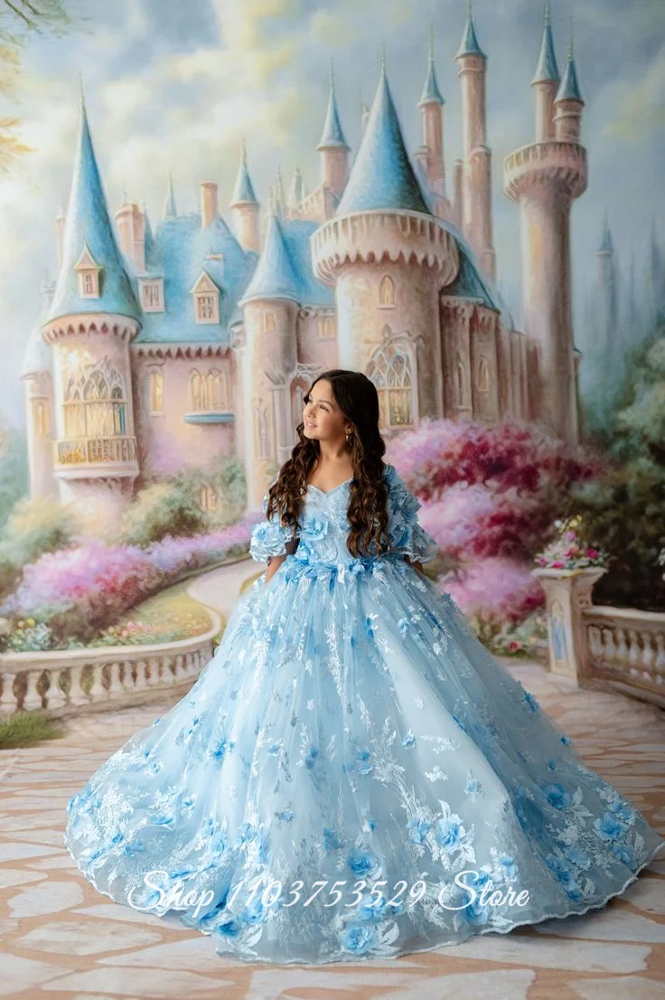 Custom Sky Blue Flower Girl Dress Embroidered Floral Skirt Formal Occasion Dress Birthday Party Dress Floral Print Dress