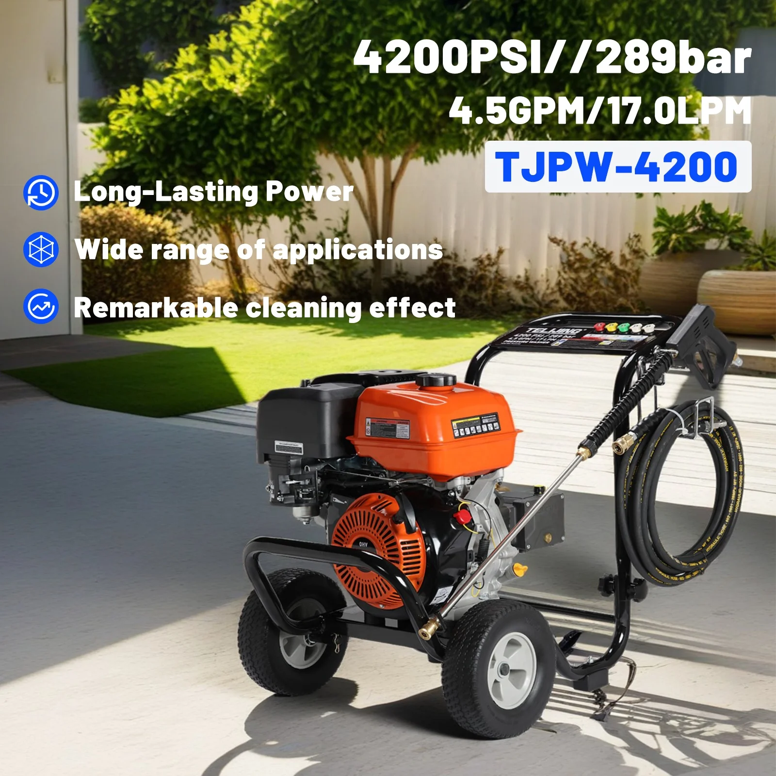 New Hot Selling 4200psi/289bar High Pressure Heavy Duty Car Washer 4 Stroke Triplex AR Pump Recoil Starter