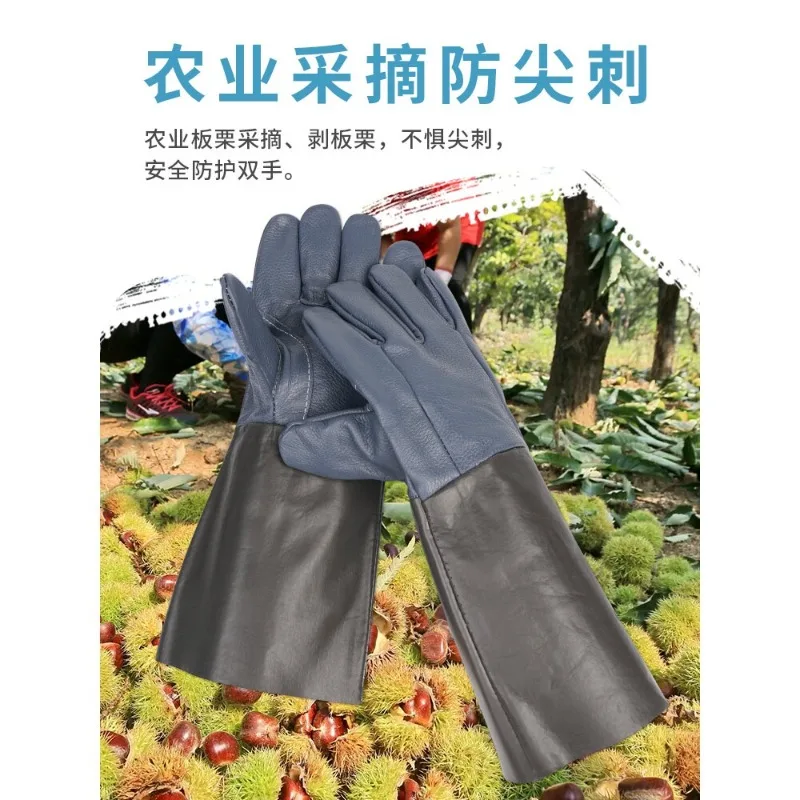Leather Thorn Proof Gardening Gloves, Wear Resistant for Zanthoxylum, Rose & Cactus Picking, Outdoor Floral Work