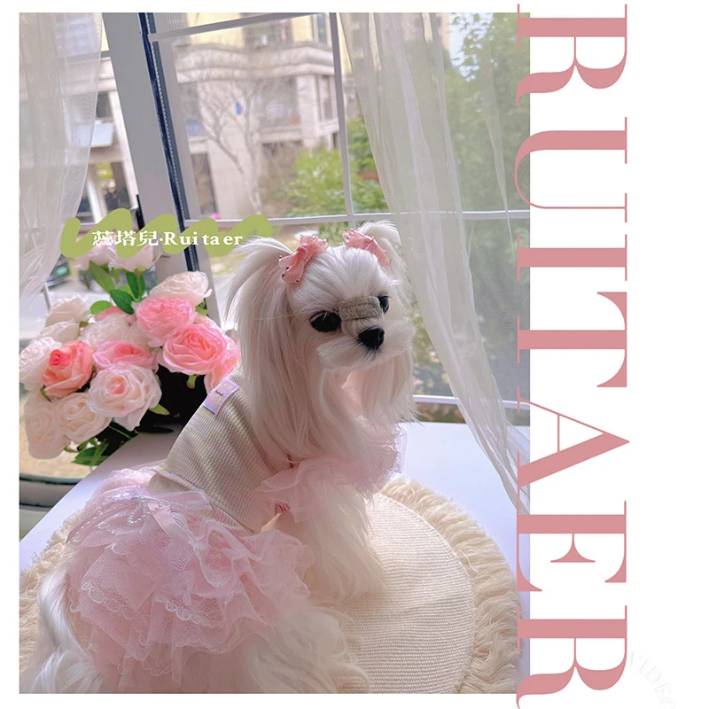 Designer New Pet Pink Lace Skirt Marzis Yorkshire Cute Princess Dress Little Small Dog Sweet Elastic Clothes Puppy Two Piece Set