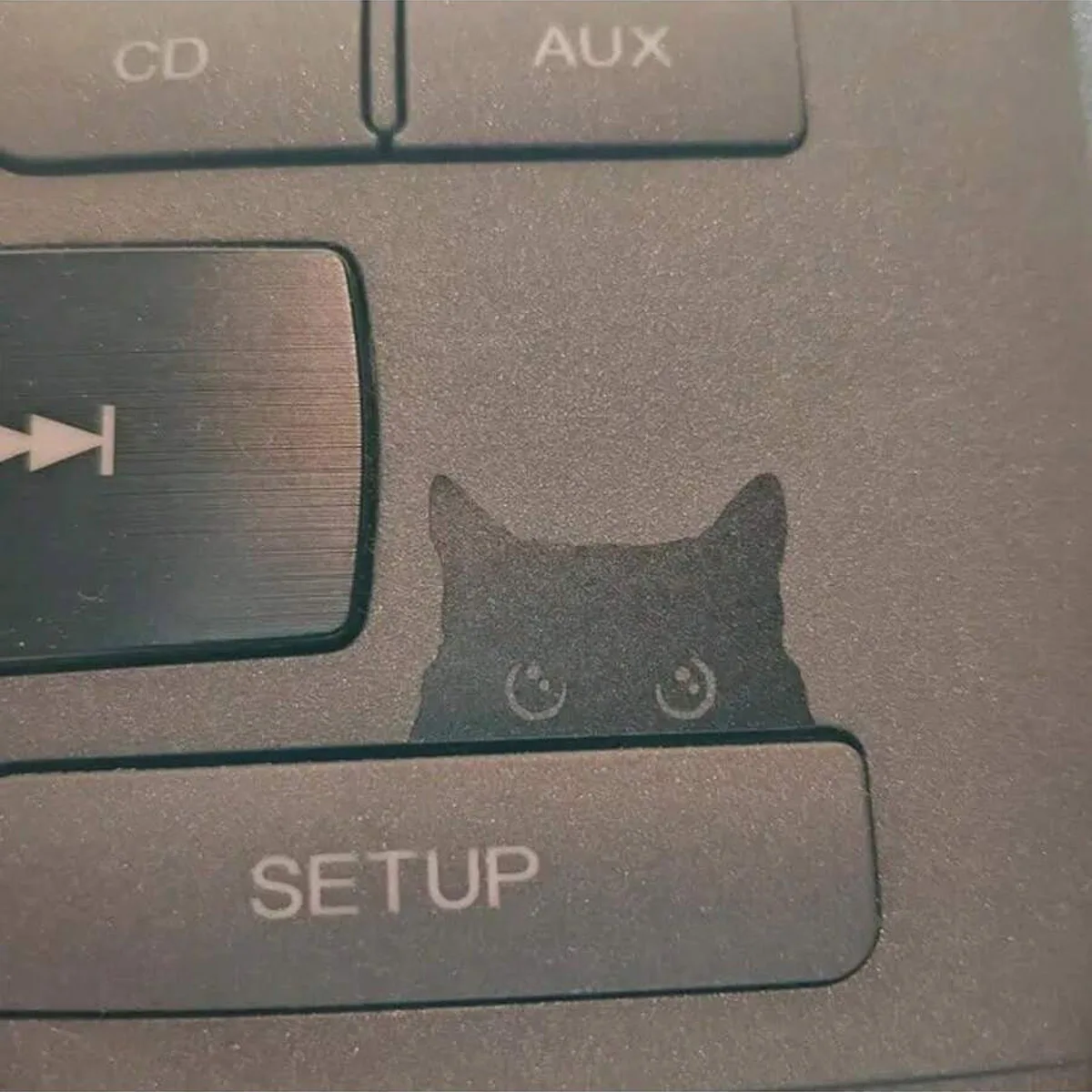 Cat Peeker Decal, Car Decal, Black Cat Peeker Sticker, Blank Button, Vinyl Decal, Car Stickers, Vinyl Stickers, Eject Sticker image 6