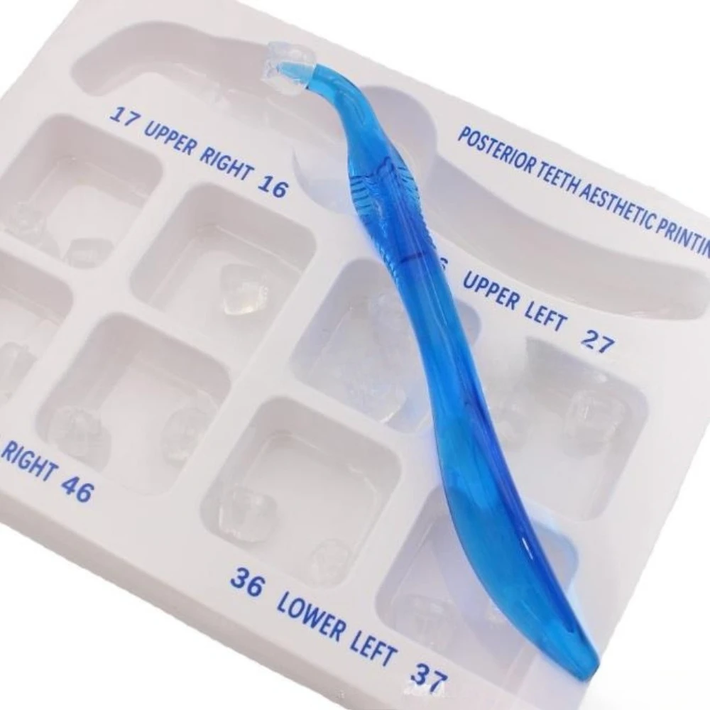 

2 Sets Dental Posterior Teeth Aesthetic Printing Kit Dentistry Reshape Resin Fissure Printing Stamp Posterior Teeth Molding
