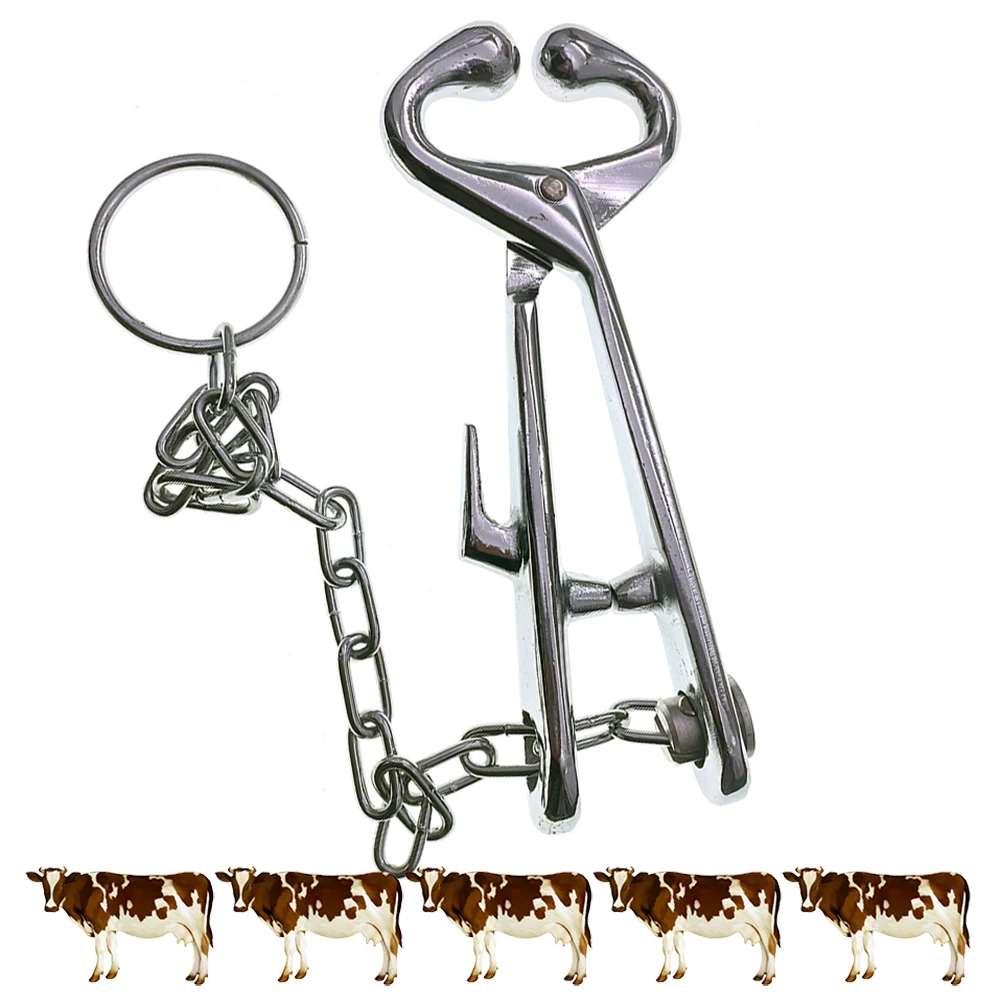 Carbon Steel Bovine Cow Calf Nose Plier With 35cm Chain For Fixation Harmless To Animals Ranch Instrument Farming Supplies