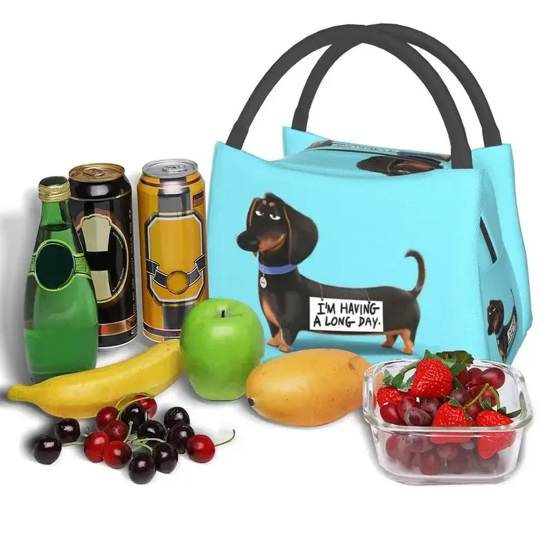 Kawaii Dachshund Insulated Lunch Bags for Women Portable Wiener Badger Sausage Dog Cooler Thermal Bento Box Office Picnic Travel