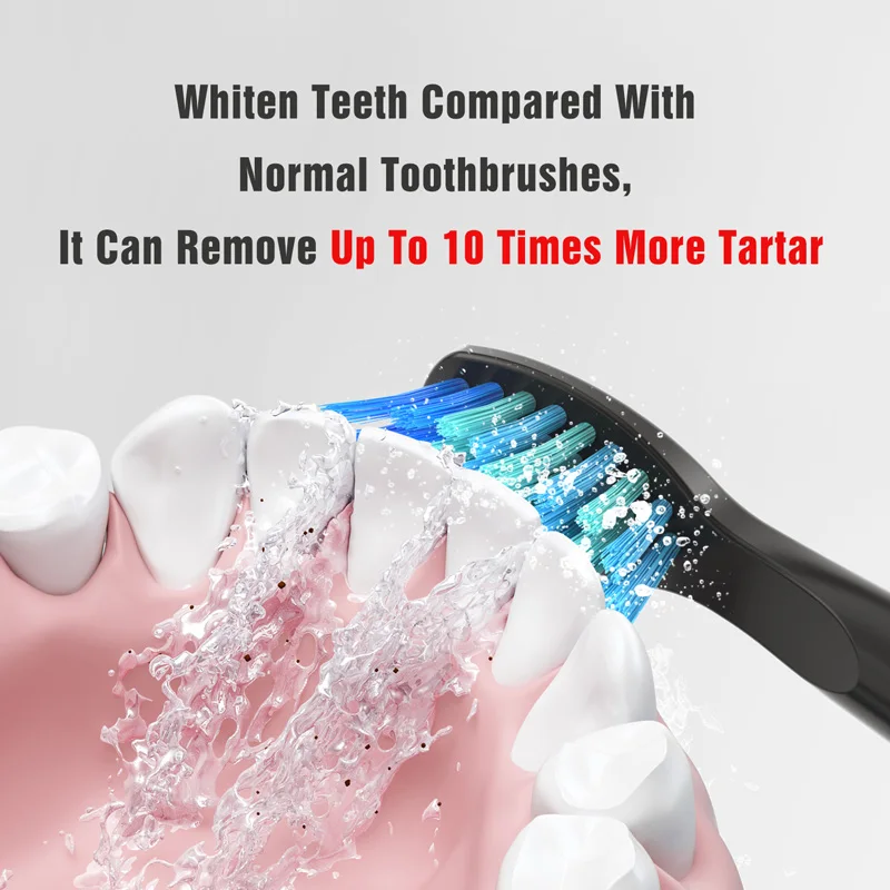 Adulto sônico escova de dentes elétrica seago SG-507 recarregável 5 modos profunda oral limpo macio dupont cerdas cabeças escova