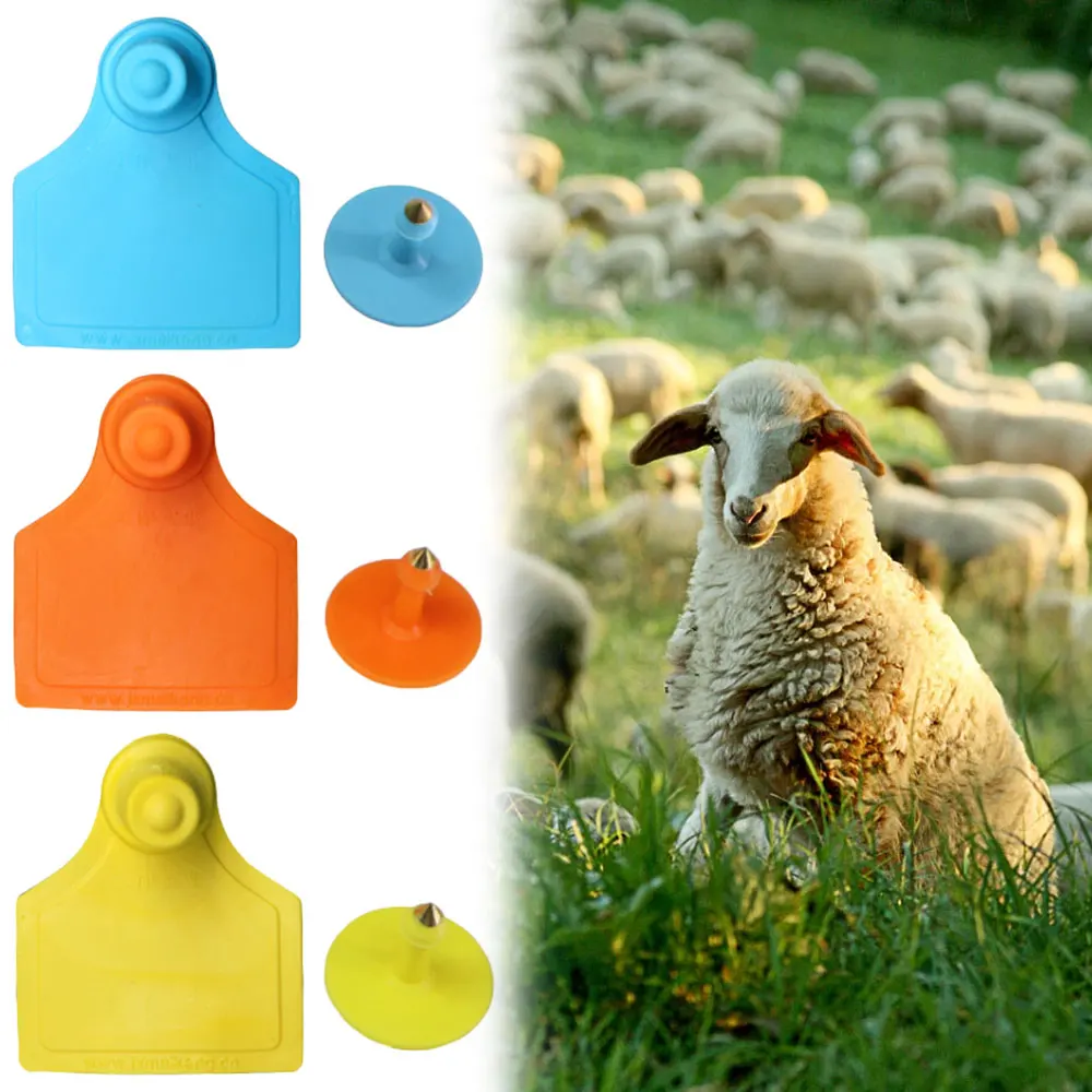 

20PCS 4x5CM 3 Color Livestock Identification Cattle Sheep Pig Horse Animal Breeding Identification Earmark Farm Pasture Special