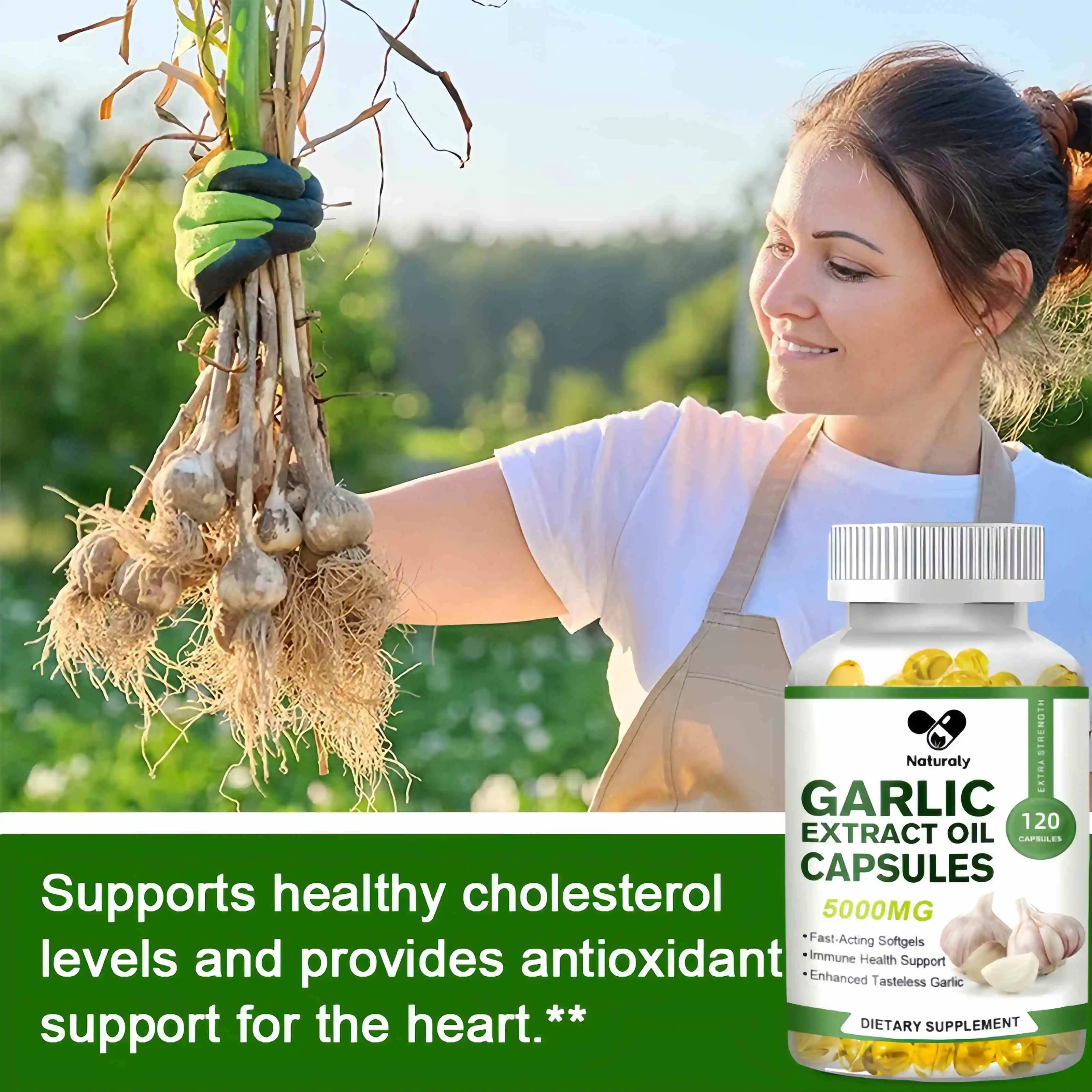 Garlic Oil Extract Capsule Immune and Cardiovascular Support Increase Glutathione Level Cellular Detox