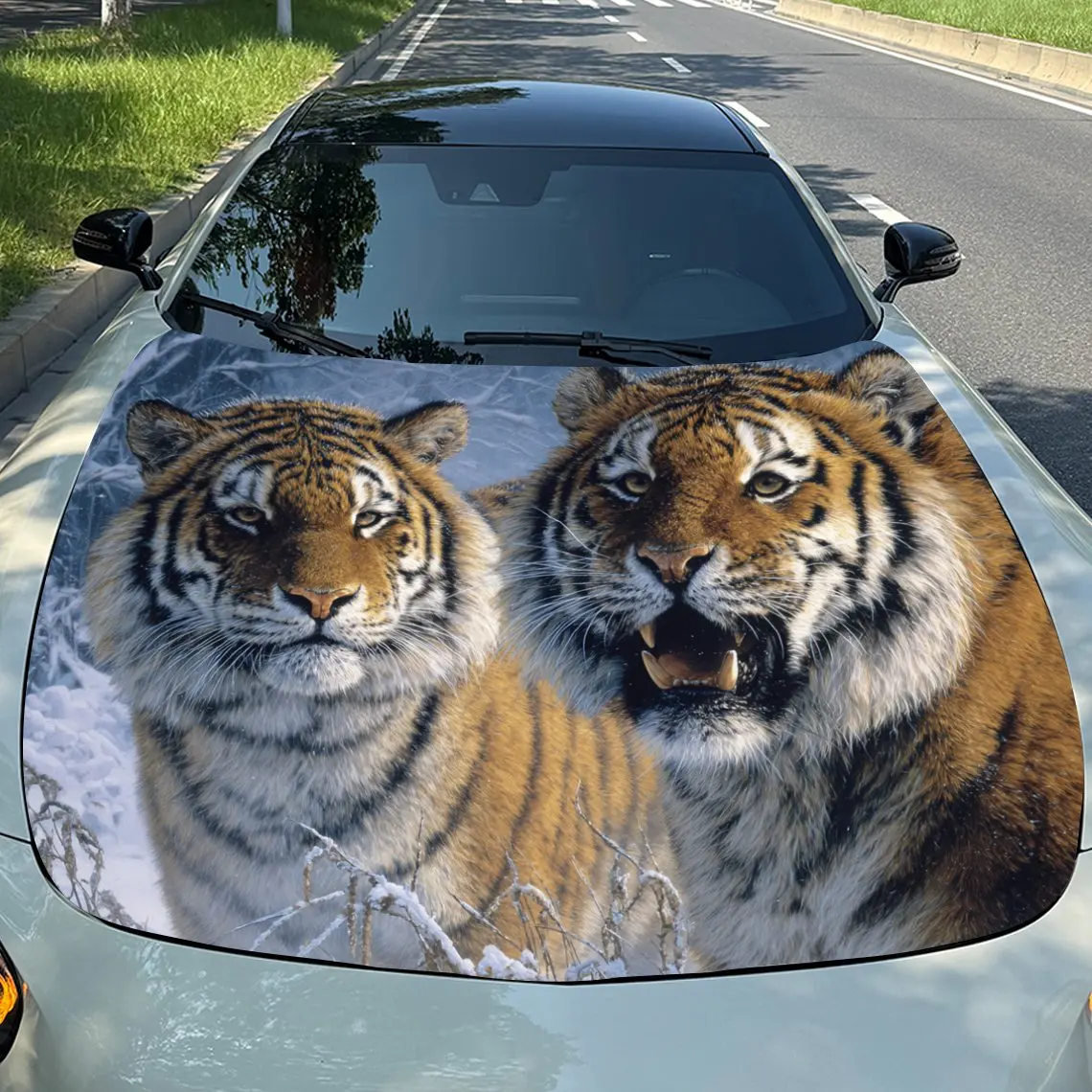 

Car Decals Realistic Tigers with Striking Stripes Amidst a Light - Toned, Naturalistic Backdrop Car Hood Sticker, Waterproof Sel