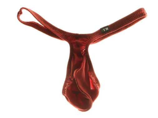 

Men's Nylon Single String G-String Thong Low Waist U-Pouch High Elastic Breathable Sexy Underwear