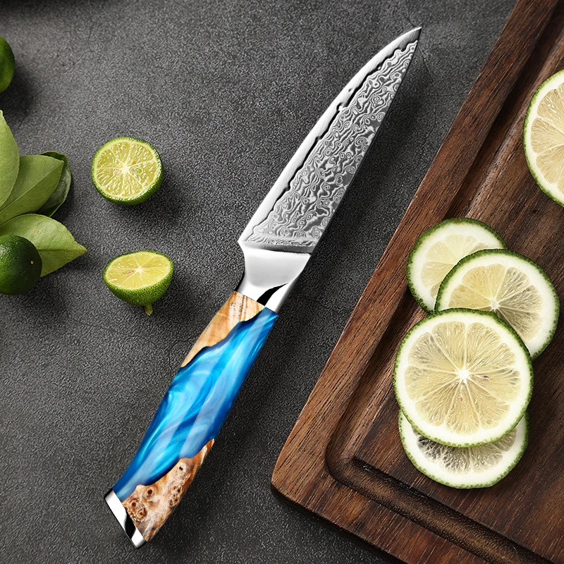 Cuchillo de pelar de acero de Damasco, navaja pequeña de cocina de 3,5 pulgadas, cuchillo afilado para fruta, VG10, 67 capas, mango ergonómico de