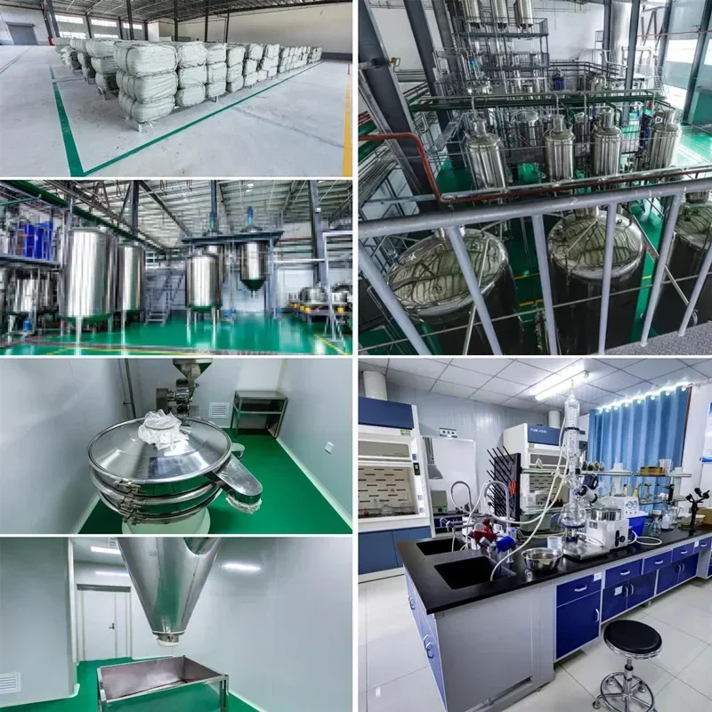 Factory SAP Super Absorbent Polymer Sodium Polyacrylate Powder Hygiene Raw Material for Diaper