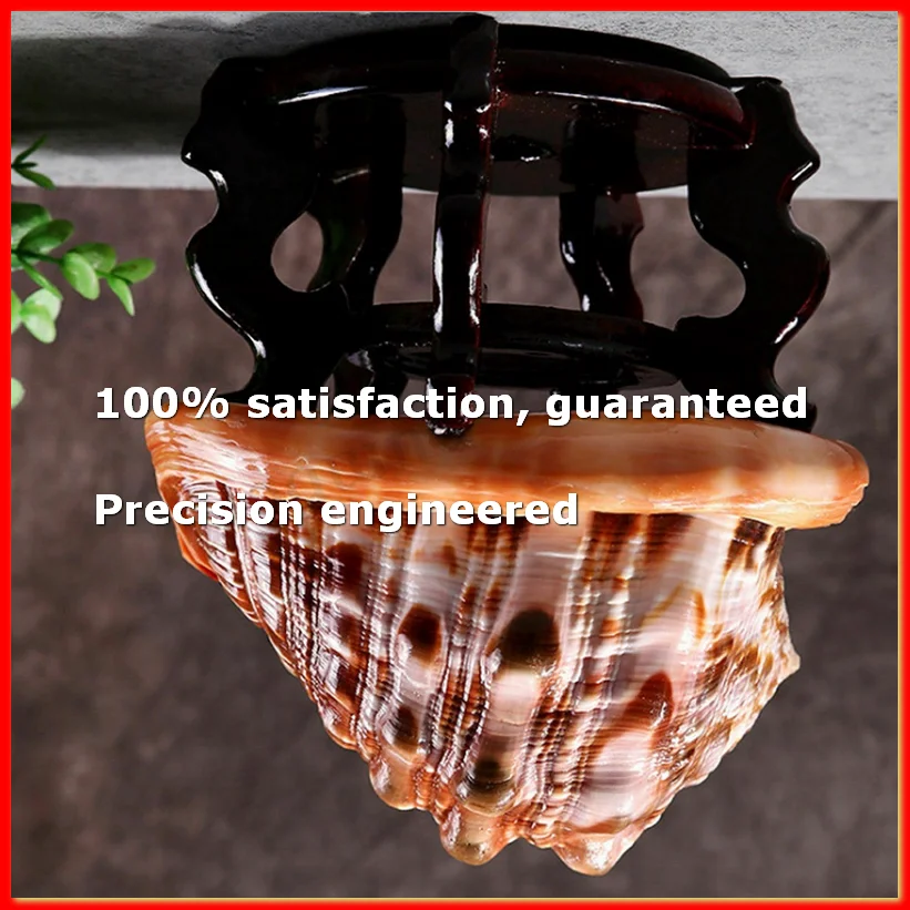 Natural Mouth Helmet Conch Shell Coral Sea Snail Fish Tank Adorn Ornament 1Pcs-A09G