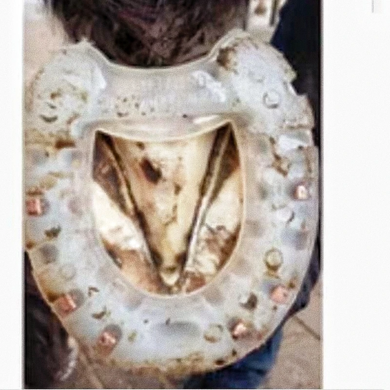 

Скоростные подковы для скачек, полиуретановые нескользящие и износостойкие туфли для лошадей, стабильные принадлежности, лидер Мэтью, копыта