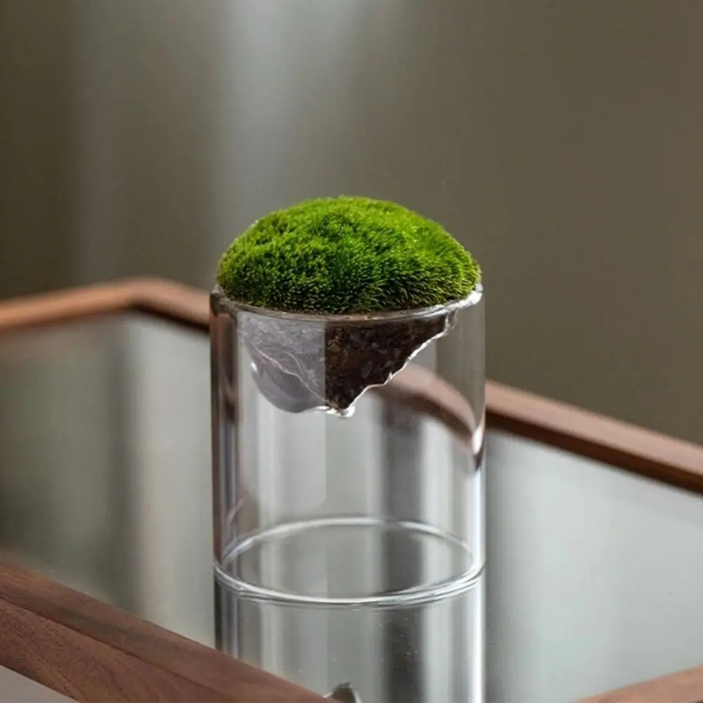 

Home Decor Mountain Shaped Moss Glass Bottle Portable Durable Micro Landscape Glass Creative Moss Flower Vase Hydroponic Plant