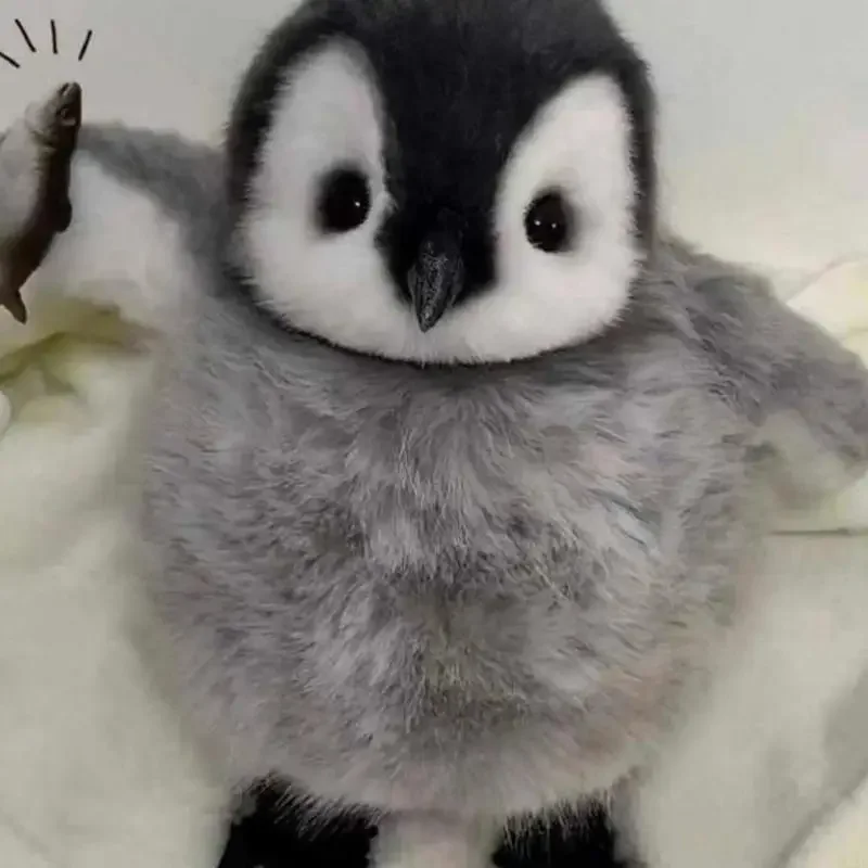 Urocze słodkie pingwiny lalka wypchana zabawka przytulanie lalka bawełna wypełniona samotność wygodna zabawka dla dziewczynki