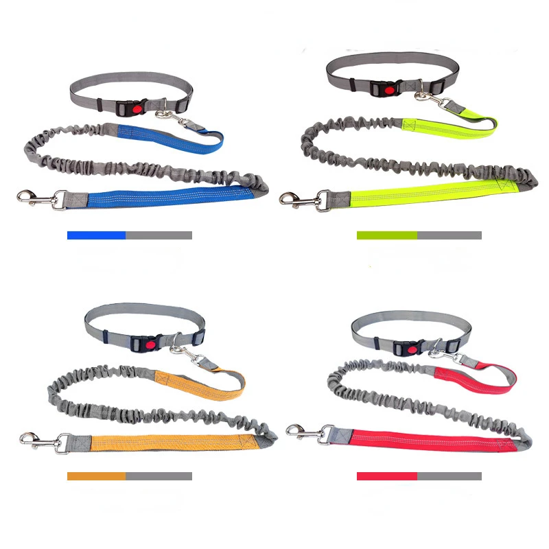 

Hands Free Dog Leash, A Running Leash for Dogs, A Great Waist Leash for Dog, Bungee Dog Leash with Reflective and Adjustable