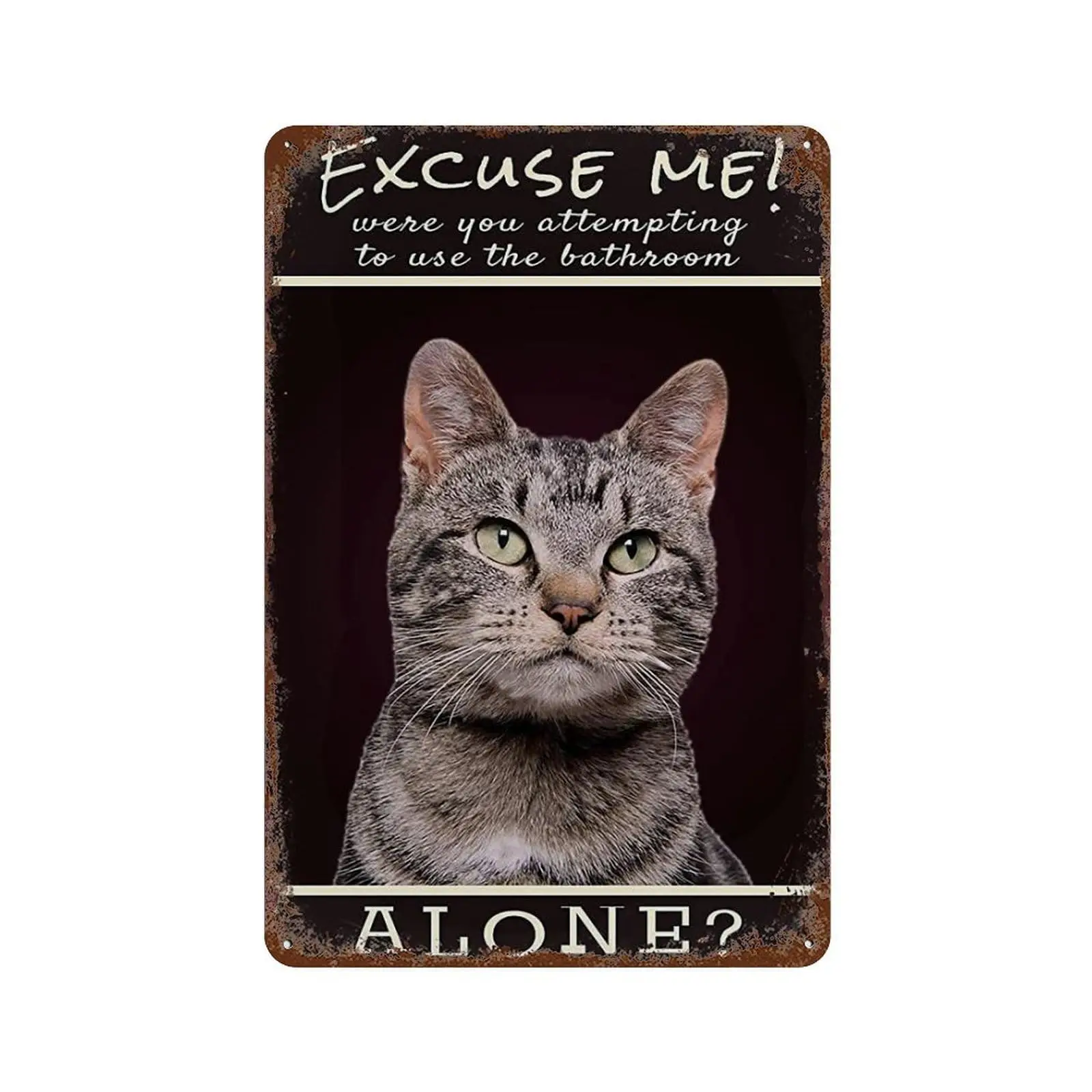 Retro Decor Tin Signs Excuse Me Were You Attempting To Use The Bathroom Alone Retro Art Tin Painting Metal Sign Wall Decoration