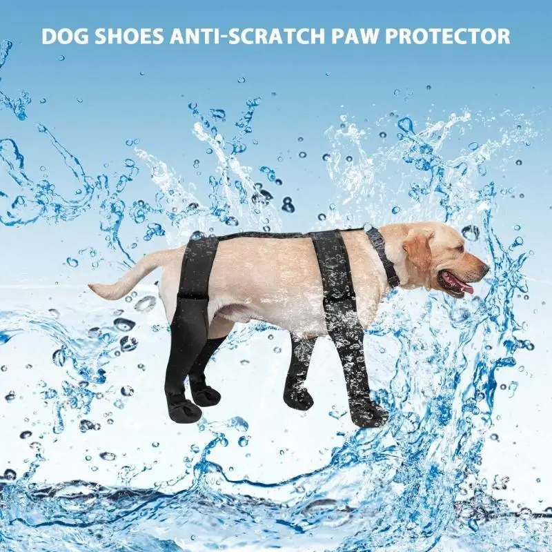 Polainas para perros, botines con tirantes para lluvia, ropa impermeable, zapatos lluvia para cachorros, actividades