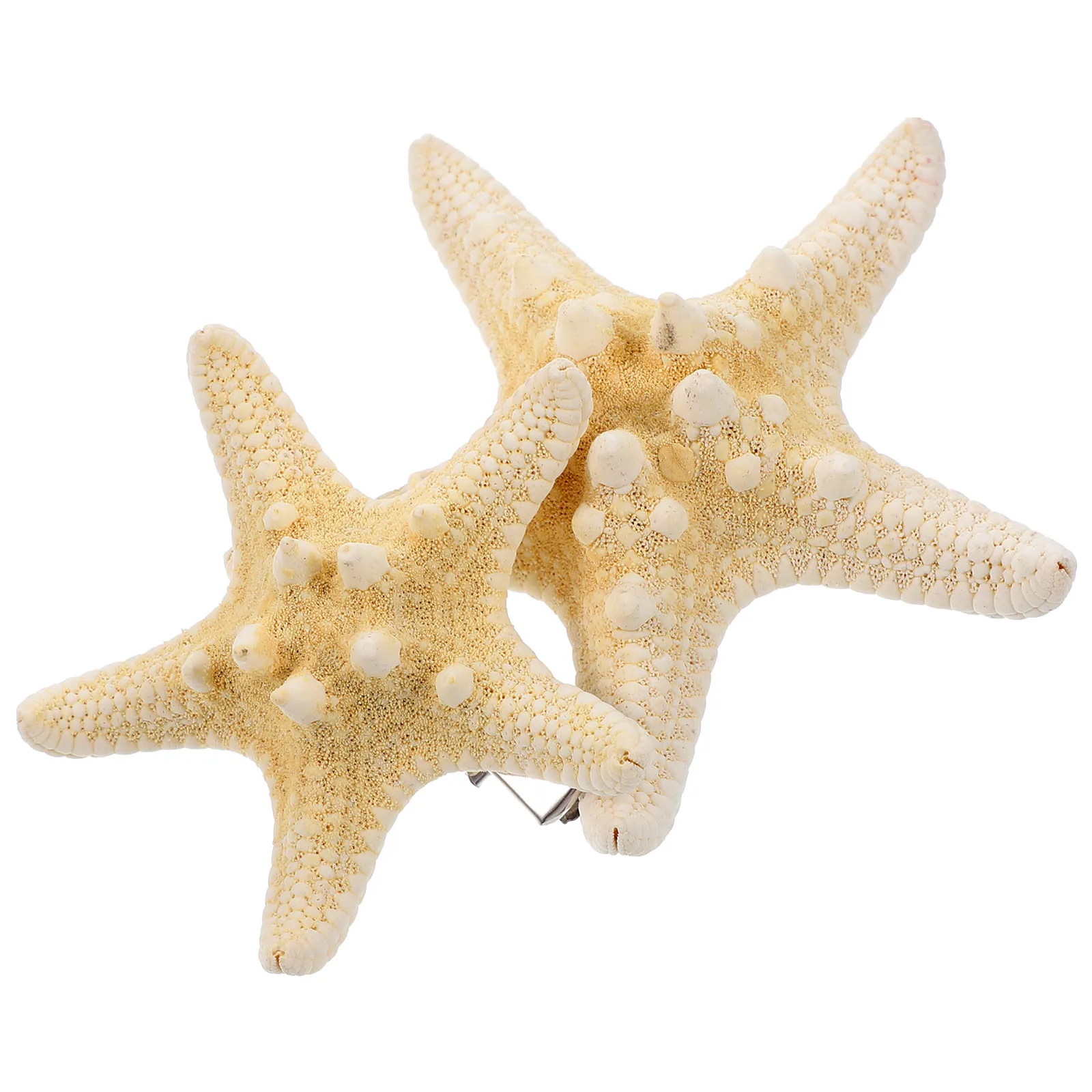 

2pcs Sea Star Hair Clips Elegant Bridal Beach Accessories Natural Dried Stylish Hairpins For Women Prom Wedding