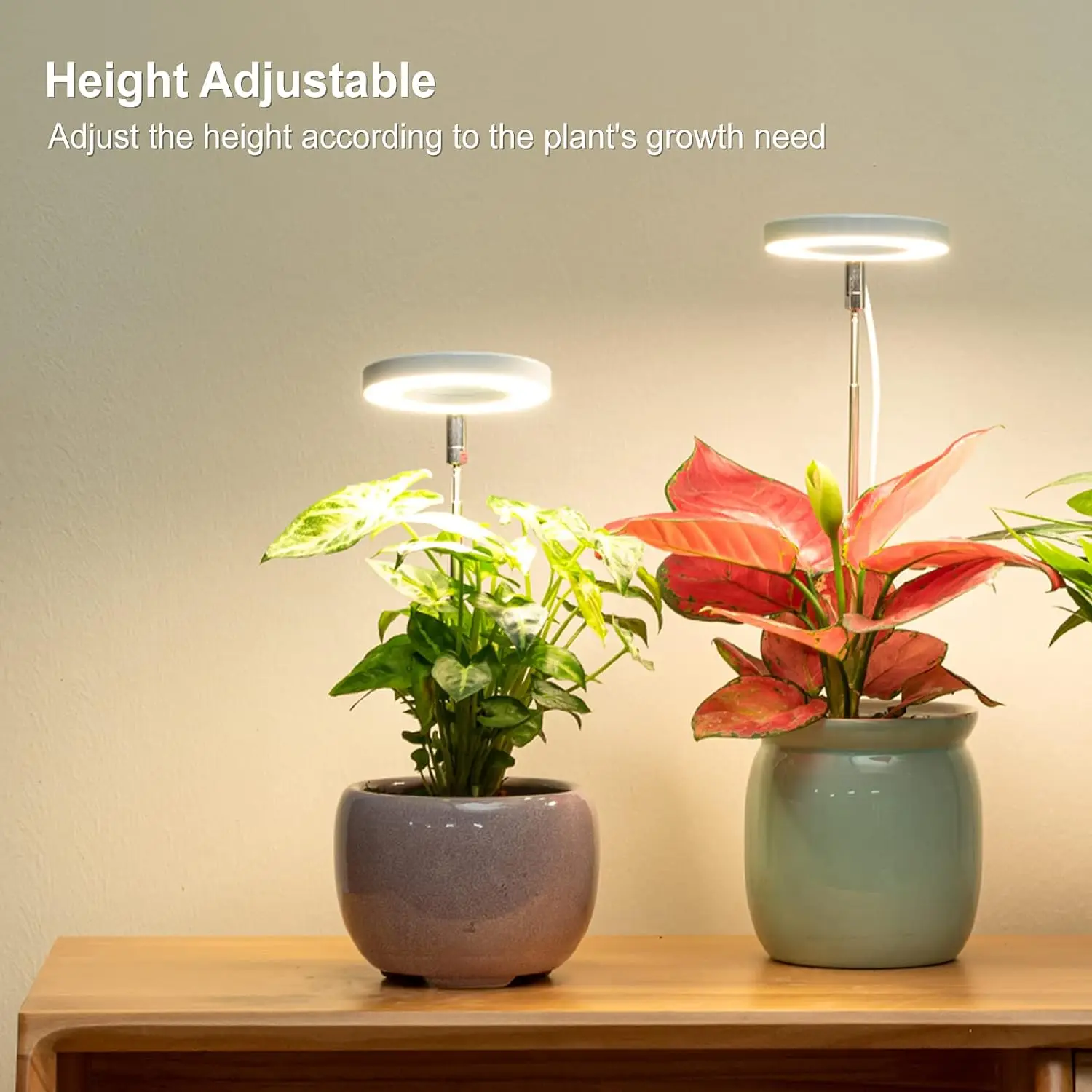 Grow Light  Full Spectrum LED Plant Light for Indoor Plants Height Adjustable Growing 4 Dimmable Brightness for Small Plants