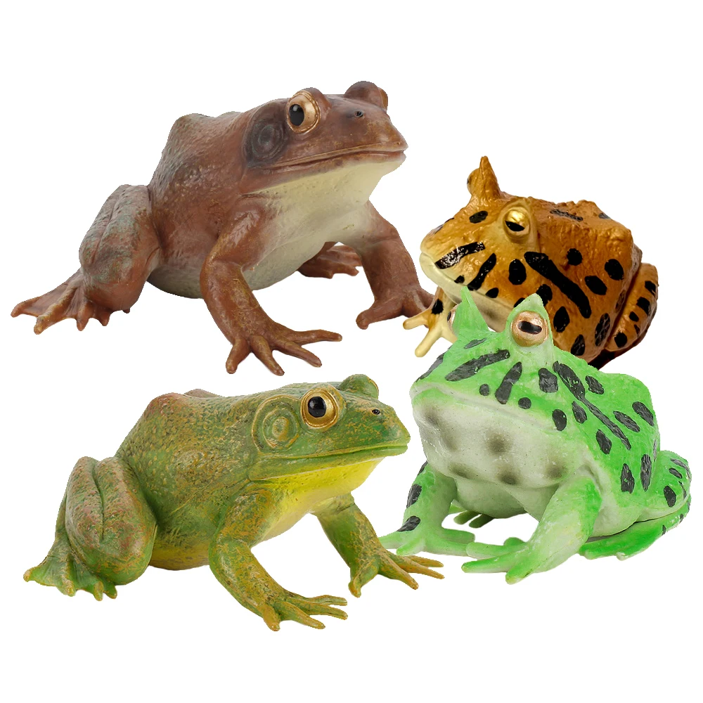 Realistic Wild Amphibian Action Figures Treefrog Bullfrog Toadfrog Plastic Frog Model Toy Cognitive Ornament Toys Gift For Kids