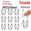 1 unidad Cicida-N