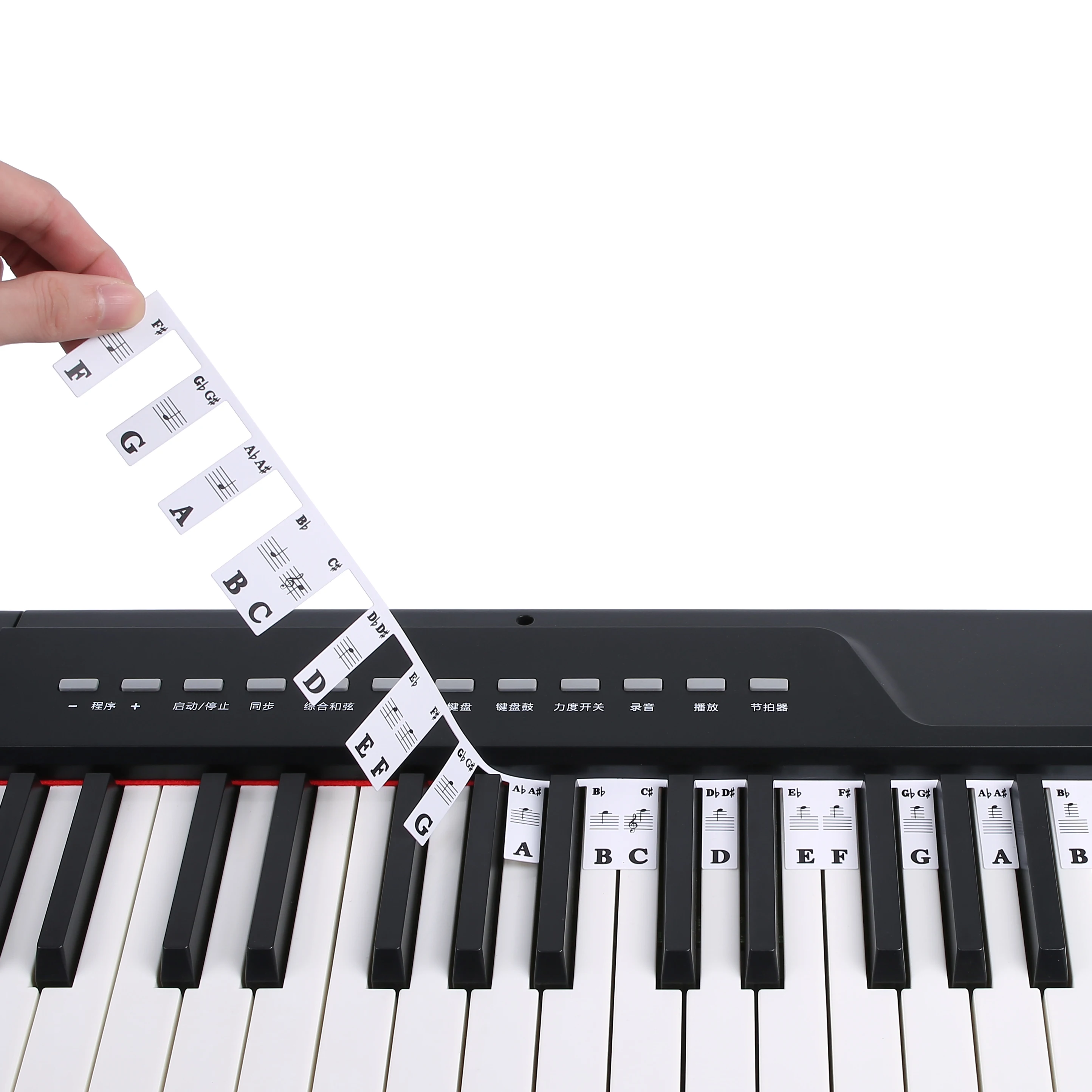 88 Keys Piano Keyboard Note Labels Electronic Organ Digital Piano Keyboard Stickers Notes Guide Silicone Piano Key Labels