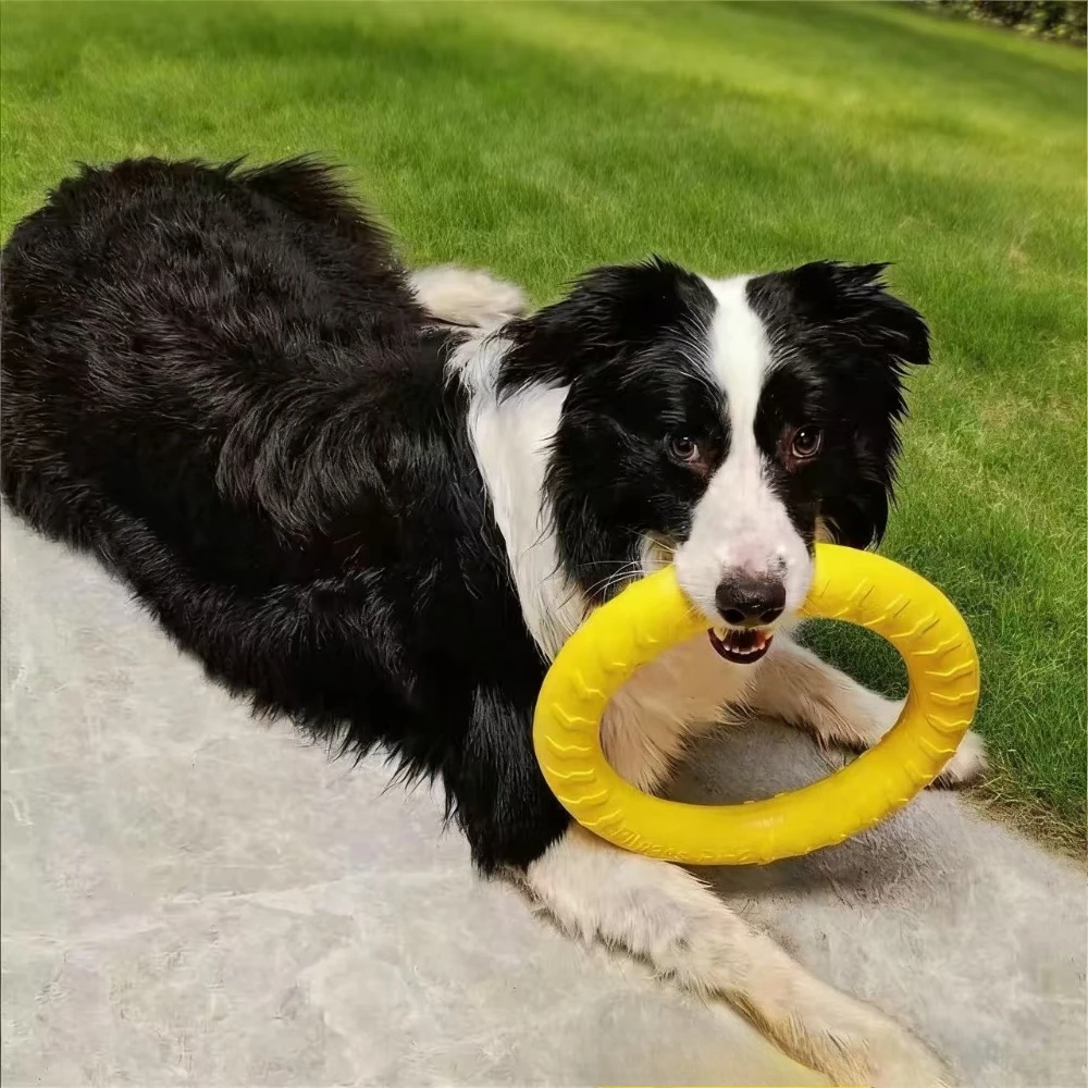 Dog Flying Disc, Fl…