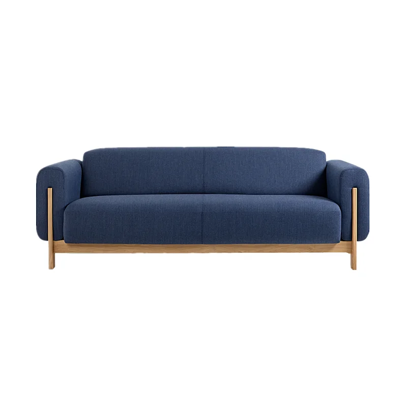 Modern Minimalist 2-Seater Fabric Sofa with Sturdy Metal Frame for Comfy Living Room Seatingpromote sales