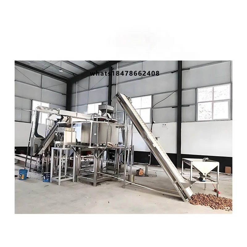 Complete Walnuts Processing Plant Automatic Walnuts Cracking Machine
