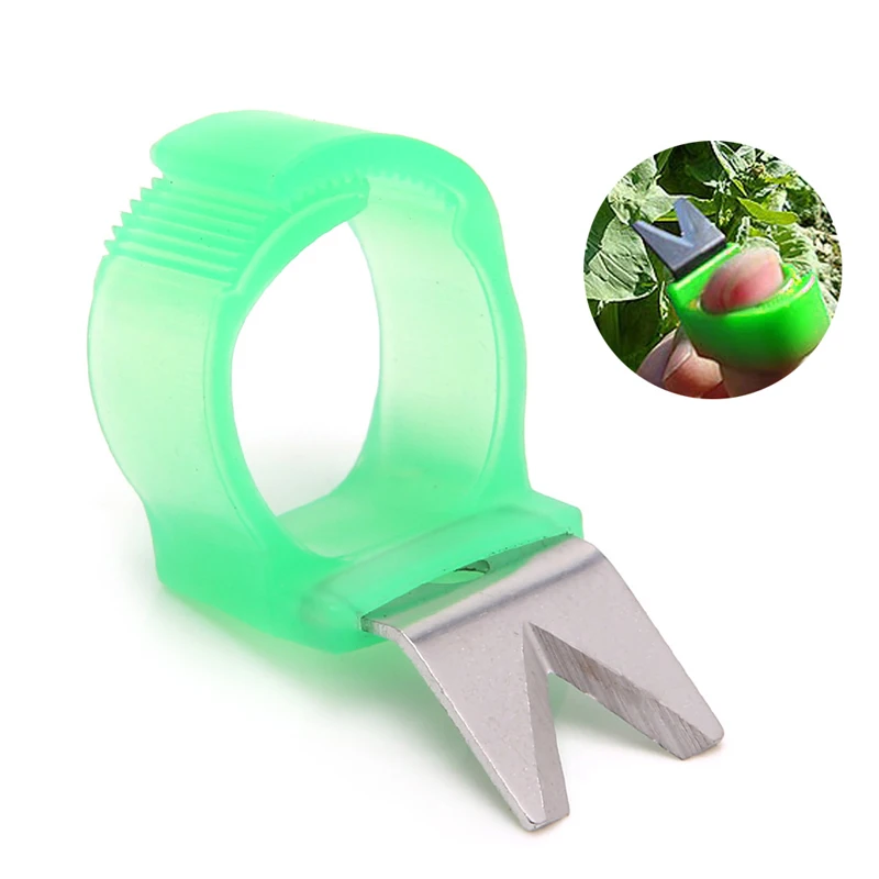 Garden Flat for T Model Tomato Cucumber Grape Fruit Tool Ring Melon Scis