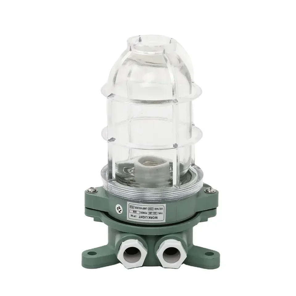 DS7-2M Marine Deck Incandescent Work Wall Pendant Light With Glass Waterproof IP56