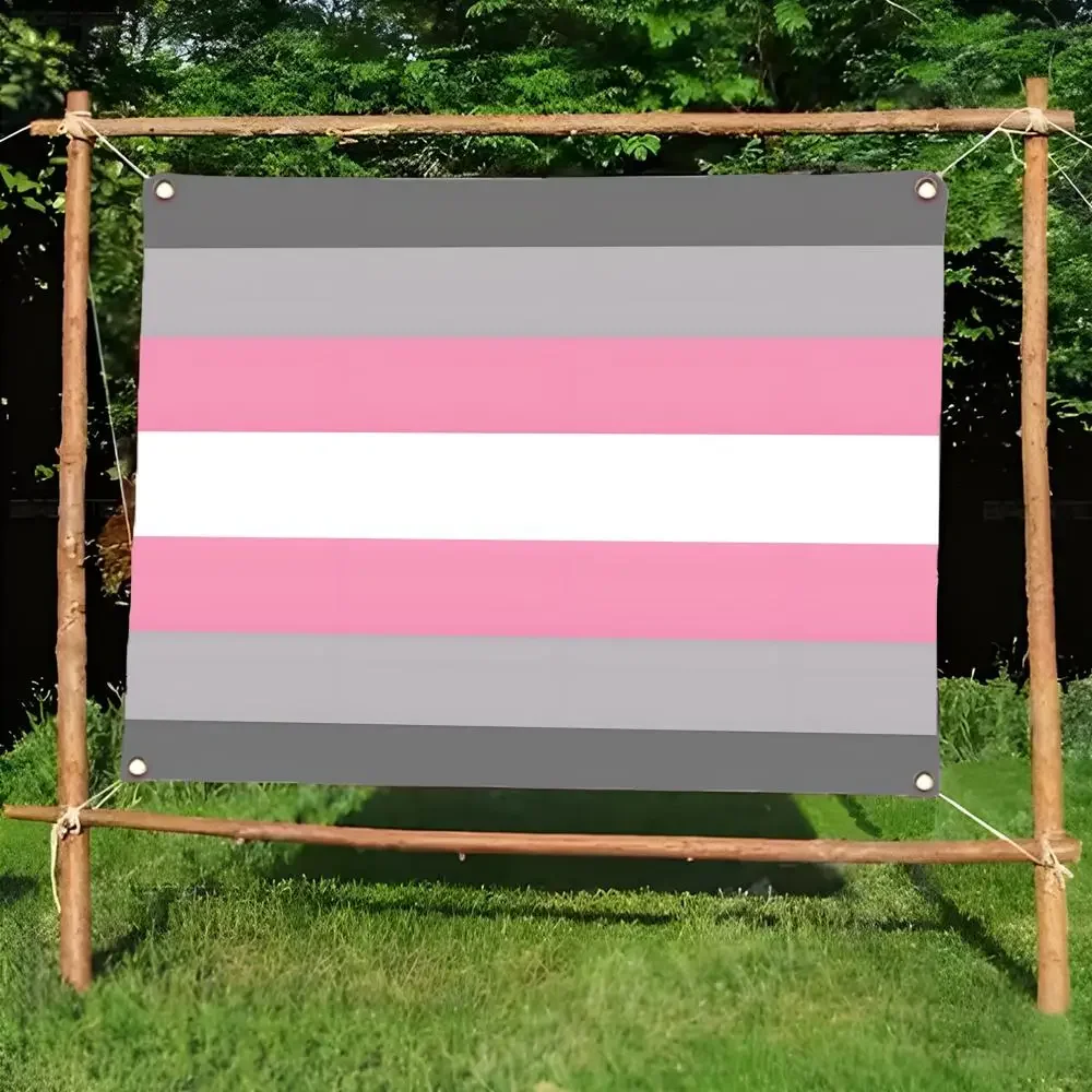 Demigirl Pride LGBTQ Flags Daily four ring borderless design indoor outdoor decor easy hang install
