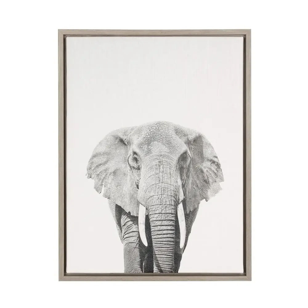 Elephant Portrait Framed Canvas Wall Art 18x24 Black & White Simon Te Tai Gallery Wrapped