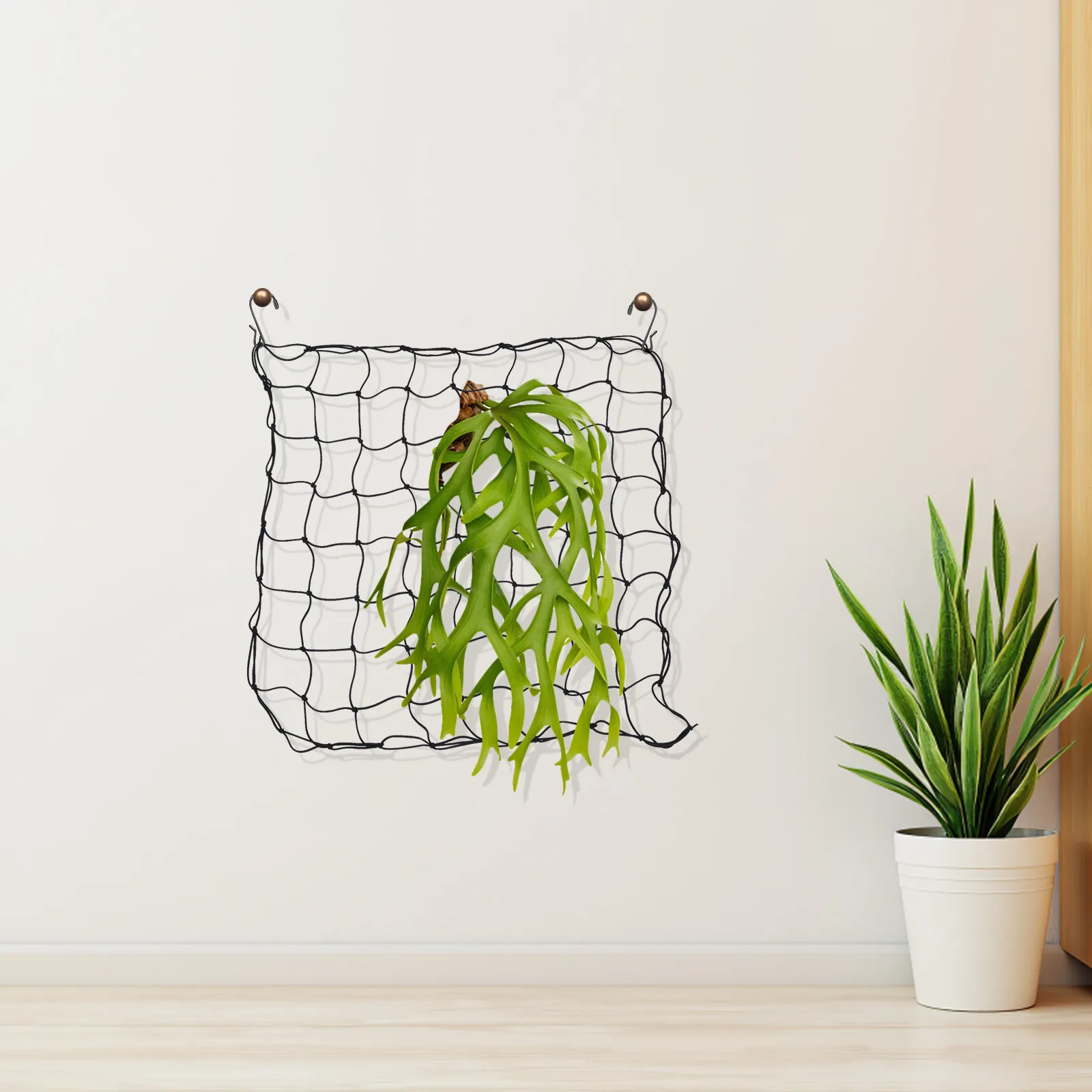 

Черная эластичная сетка для растений 3x3 фута, сетка-опора с крючками для вьющихся растений, для гроутентов, для использования в помещении и на улице, для гидропоники и садоводства