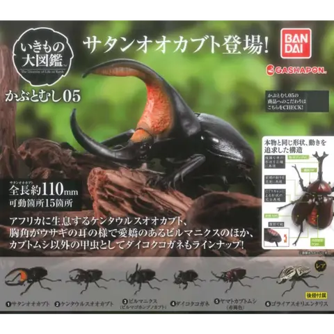 Bandai Original Gashapon Bio Gallery Insect Collection - Assorted Beetle Capsule Toys 05 Beetle Stag Rhino Figure