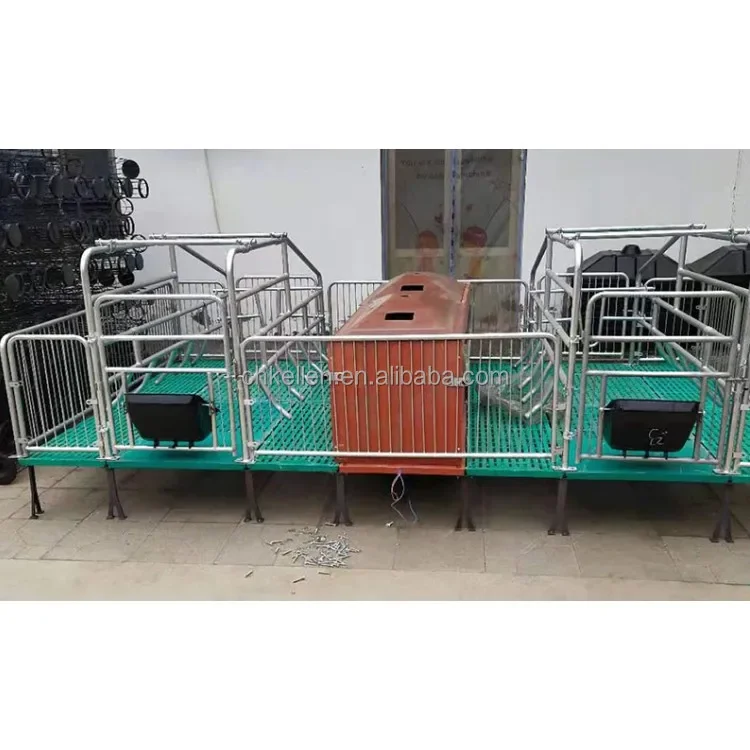 Superior quality newest design maternity cages for pigs piggery equipment pig farm